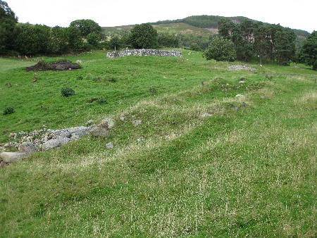 Ruins of the unusual semi-detached long house at Balchapel